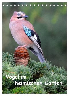 Vögel im heimischen Garten (Tischkalender 2025 DIN A5 hoch), CALVENDO Monatskalender - Calvendo;Wilczek, Dieter