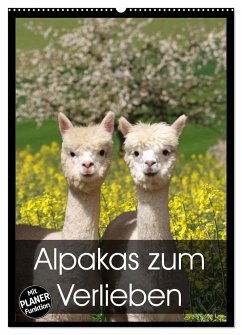 Alpakas zum Verlieben (Wandkalender 2025 DIN A2 hoch), CALVENDO Monatskalender - Calvendo;Rentschler, Heidi