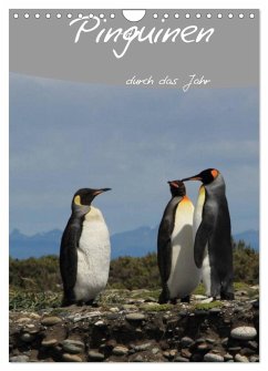 Mit Pinguinen durch das Jahr (Wandkalender 2025 DIN A4 hoch), CALVENDO Monatskalender - Calvendo;Köhler, Clemens Göb, Ute