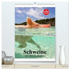 Schweine auf den Bahamas! (hochwertiger Premium Wandkalender 2025 DIN A2 hoch), Kunstdruck in Hochglanz