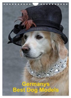 Germanys Best Dog Models - gestylte Labrador und Golden Retriever (Wandkalender 2025 DIN A4 hoch), CALVENDO Monatskalender