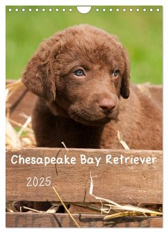 Chesapeake Bay Retriever 2025 (Wandkalender 2025 DIN A4 hoch), CALVENDO Monatskalender