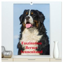 Faszination Berner Sennenhund (hochwertiger Premium Wandkalender 2025 DIN A2 hoch), Kunstdruck in Hochglanz - Calvendo;Starick, Sigrid