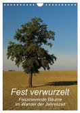 Fest verwurzelt - Faszinierende Bäume im Wandel der Jahreszeit (Wandkalender 2025 DIN A4 hoch), CALVENDO Monatskalender