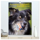 Australian Shepherd ¿ Mit dem Aussie unterwegs (hochwertiger Premium Wandkalender 2025 DIN A2 hoch), Kunstdruck in Hochglanz