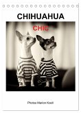 CHIHUAHUA CHIC Photos Marion Koell (Tischkalender 2025 DIN A5 hoch), CALVENDO Monatskalender