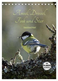 Amsel, Drossel, Fink und Star - beobachtet (Tischkalender 2025 DIN A5 hoch), CALVENDO Monatskalender - Calvendo;Flori0