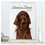 Hunde im Portrait (hochwertiger Premium Wandkalender 2025 DIN A2 hoch), Kunstdruck in Hochglanz
