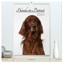 Hunde im Portrait (hochwertiger Premium Wandkalender 2025 DIN A2 hoch), Kunstdruck in Hochglanz - Calvendo;Bollich, Heidi