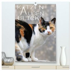 KATZEN AUGEN BLICKE (hochwertiger Premium Wandkalender 2025 DIN A2 hoch), Kunstdruck in Hochglanz - Calvendo;sock, reinhard