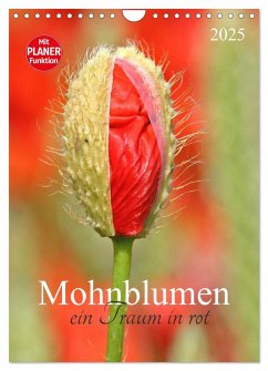 Mohnblumen-ein Traum in rot (Wandkalender 2025 DIN A4 hoch), CALVENDO Monatskalender - Calvendo;Schnellewelten