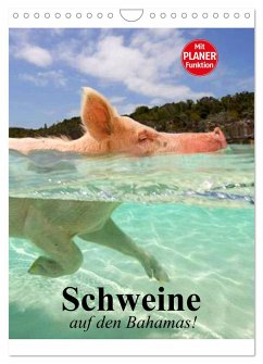 Schweine auf den Bahamas! (Wandkalender 2025 DIN A4 hoch), CALVENDO Monatskalender - Calvendo;Stanzer, Elisabeth