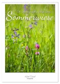 Ein Spaziergang über eine Sommerwiese (Wandkalender 2025 DIN A2 hoch), CALVENDO Monatskalender