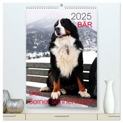 BÄR - Der Berner Sennenhund (hochwertiger Premium Wandkalender 2025 DIN A2 hoch), Kunstdruck in Hochglanz