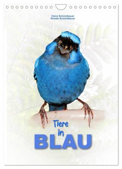 Tiere in Blau (Wandkalender 2025 DIN A4 hoch), CALVENDO Monatskalender - Calvendo;Schmidbauer, Heinz