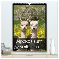 Alpakas zum Verlieben (hochwertiger Premium Wandkalender 2025 DIN A2 hoch), Kunstdruck in Hochglanz - Calvendo;Rentschler, Heidi