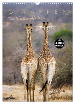 Giraffen - Die Riesen Afrikas (Wandkalender 2025 DIN A3 hoch), CALVENDO Monatskalender