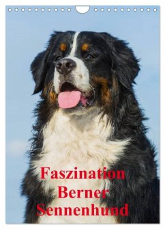 Faszination Berner Sennenhund (Wandkalender 2025 DIN A4 hoch), CALVENDO Monatskalender