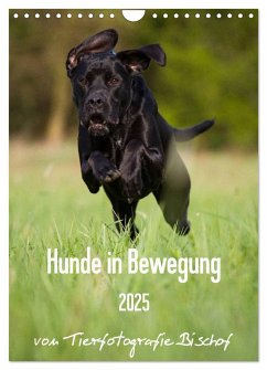 Hunde in Bewegung 2025 von Tierfotografie Bischof (Wandkalender 2025 DIN A4 hoch), CALVENDO Monatskalender - Calvendo;Bischof, Tierfotografie