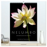 N E L U M B O ¿ Zauberhafte Ansichten der Lotosblüte (hochwertiger Premium Wandkalender 2025 DIN A2 hoch), Kunstdruck in Hochglanz
