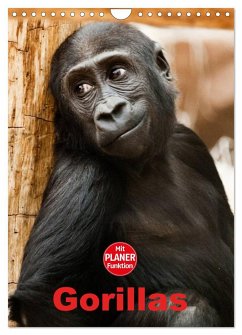 Gorillas (Wandkalender 2025 DIN A4 hoch), CALVENDO Monatskalender
