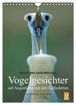 Magie des Augenblicks - Vogelgesichter - auf Augenhöhe mit den Gefiederten (Wandkalender 2025 DIN A4 hoch), CALVENDO Monatskalender - Calvendo;Wisniewski, Winfried