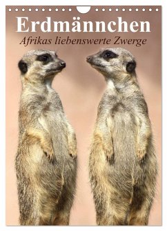 Erdmännchen - Afrikas liebenswerte Zwerge (Wandkalender 2025 DIN A4 hoch), CALVENDO Monatskalender