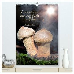 Kuriositäten aus der Welt der Pilze (hochwertiger Premium Wandkalender 2025 DIN A2 hoch), Kunstdruck in Hochglanz - Calvendo;Schmidbauer, Heinz