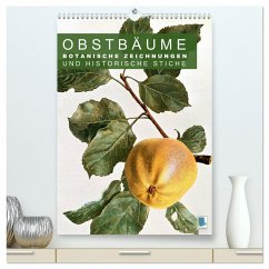 Obstbäume: Botanische Zeichnungen und historische Stiche (hochwertiger Premium Wandkalender 2025 DIN A2 hoch), Kunstdruck in Hochglanz - Calvendo