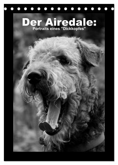 Der Airedale: Portraits eines &quote;Dickkopfes&quote; (Tischkalender 2025 DIN A5 hoch), CALVENDO Monatskalender