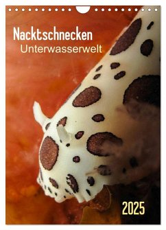Nacktschnecken - Unterwasserwelt 2025 (Wandkalender 2025 DIN A4 hoch), CALVENDO Monatskalender Nacktschnecken - Unterwasserwelt 2025 (Wandkalender 2025 DIN A4 hoch), CALVENDO Monatskalender