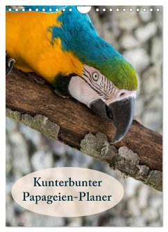 Kunterbunter Papageien-Planer (Wandkalender 2025 DIN A4 hoch), CALVENDO Monatskalender - Calvendo;Beuck, Angelika