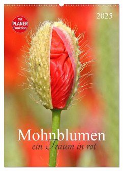 Mohnblumen-ein Traum in rot (Wandkalender 2025 DIN A2 hoch), CALVENDO Monatskalender - Calvendo;Schnellewelten