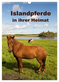 Islandpferde in ihrer Heimat (Wandkalender 2025 DIN A3 hoch), CALVENDO Monatskalender