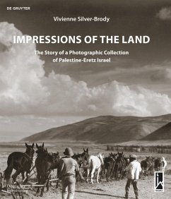 Impressions of the Land - Silver-Brody, Vivienne