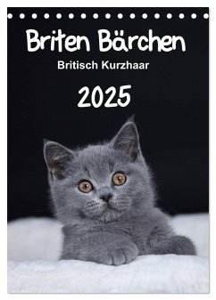 Briten Bärchen ¿ Britisch Kurzhaar 2025 (Tischkalender 2025 DIN A5 hoch), CALVENDO Monatskalender - Calvendo;Bollich, Heidi