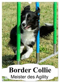 Border Collie Meister des Agility (Wandkalender 2025 DIN A3 hoch), CALVENDO Monatskalender - Calvendo;Homwico