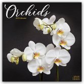 Orchids - Orchideen 2025 - 16-Monatskalender