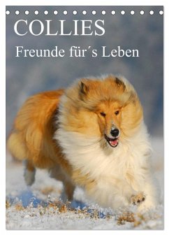 Collies - Freunde für´s Leben (Tischkalender 2025 DIN A5 hoch), CALVENDO Monatskalender - Calvendo;Starick, Sigrid