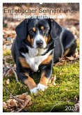 Entlebucher Sennenhunde begleiten Sie durch das Jahr (Wandkalender 2025 DIN A2 hoch), CALVENDO Monatskalender