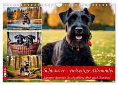 Schnauzer - vielseitige Allrounder (Wandkalender 2025 DIN A4 quer), CALVENDO Monatskalender