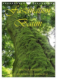 Faszination Baum (Wandkalender 2025 DIN A4 hoch), CALVENDO Monatskalender - Calvendo;Markgraf, Hans-Joachim