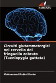 Circuiti glutammatergici nel cervello del fringuello zebrato (Taeniopygia guttata)