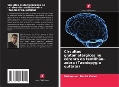 Circuitos glutamatérgicos no cérebro do tentilhão-zebra (Taeniopygia guttata) - Karim, Mohammad Rabiul