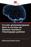 Circuits glutamatergiques dans le cerveau du diamant mandarin (Taeniopygia guttata)