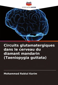 Circuits glutamatergiques dans le cerveau du diamant mandarin (Taeniopygia guttata) - Karim, Mohammad Rabiul