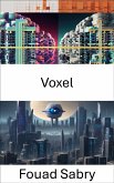 Voxel (eBook, ePUB)