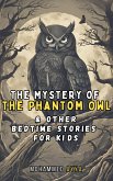 The Mystery of the Phantom Owl (eBook, ePUB)