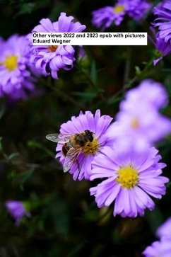 Cover Other views 2022 and 2023 epub with pictures (eBook, ePUB)