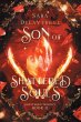 Son of Shattered Souls - Bild 1